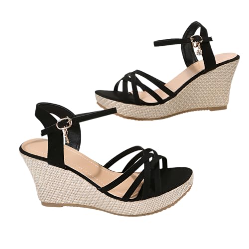 [Firmiarii] EFbW\[ T_ ItBX IV T_ fB[X ₷ Xgbv I[vgD NXSxg 10CMq[  Ȃ y r  gAbv ~ O ʋ s