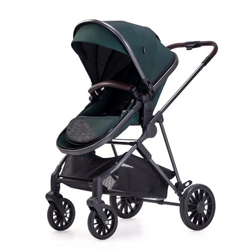 2-in-1 Baby Stroller with Reversible Seat