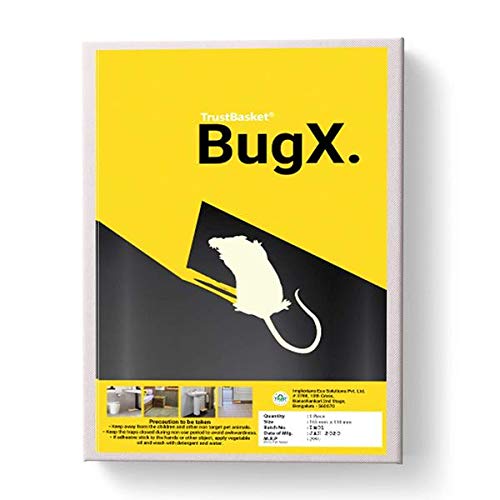 TrustBasket BugX Rat Kill Gum Pad(Big) Rat Catcher Sticky Glue Pad Odorless Rat Terminator