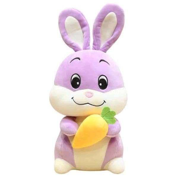 Cute Cuddling Bunny Teddy Soft Toy for Kids, Adorable Animal Plush Doll, Soft Stuffed Toy for Girls, Boys, Kids, Soft Snuggle