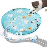 2-in-1 Interactive Cat Toys: Motion-Activated Hide & Seek Mat for Indoor Adult Cats
