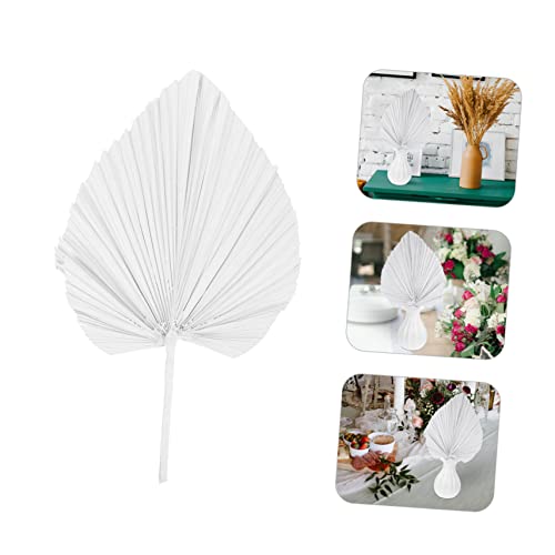 Decoración de hoja de palma seca para bodas y fiestas miniatura 5