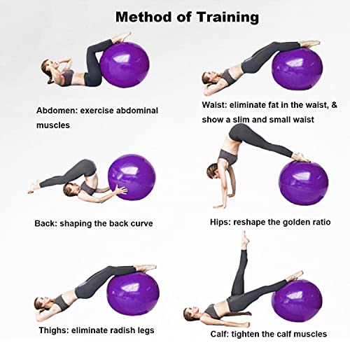 Image of Exercise Ball, Explosion-Proof Yoga Balance Ball(25in /65cm) with Pump, Heavy Duty Swiss Ball for Fitness, Pregnancy, Balance & Physical Therapy, Fitness in Home /Gym /Office