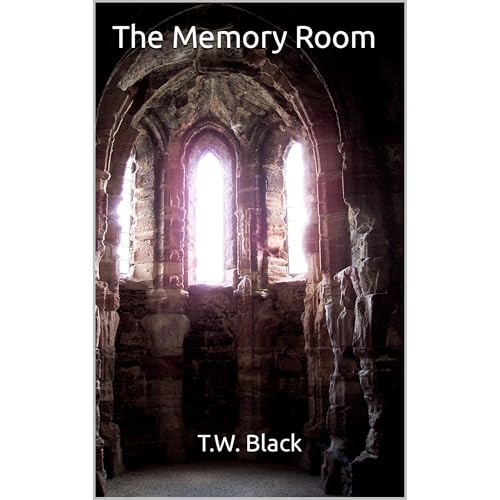 Memory Room Audiobook By T.W. Black cover art