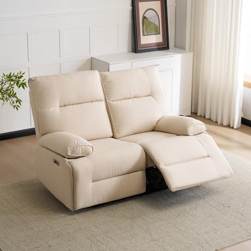 OSJ �d�����N���C�j���O�\�t�@ 2�l�|�� ���I ���i�K���� USB/Type-C�|�[�g���� �n�C�o�b�N [�ω׏d159kg/SGS�F��] �t�@�u���b�N ���E�Ɨ��� �O�w�T�|�[�g�\�� �g���ȒP (149cm��, �x�[�W��/�O���[/�u���E��)