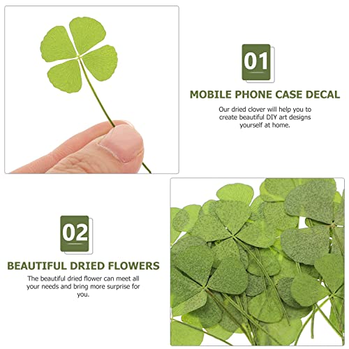 Flores secas prensadas trébol de cuatro hojas 24 unidades miniatura 5