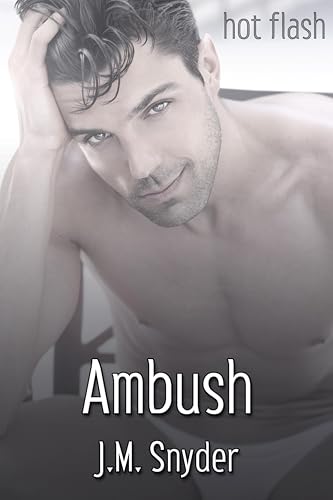 Ambush view 2