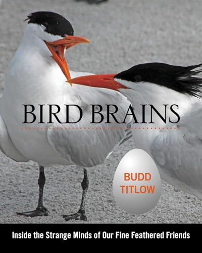 Bird Brains: Inside The Strange Minds Of Our Fine Feathered Friends