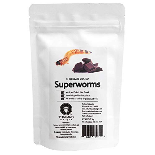 チョコレート スーパーワーム Chocolate coated superworms 10g TIU2005