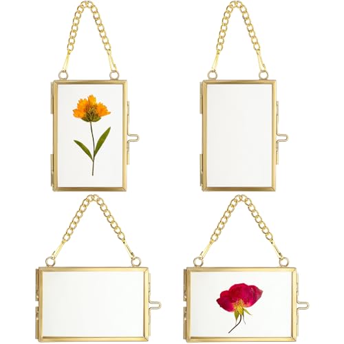 JUXYES 2x3 Hanging Mini Double Glass Picture Frame for Pressed Flower