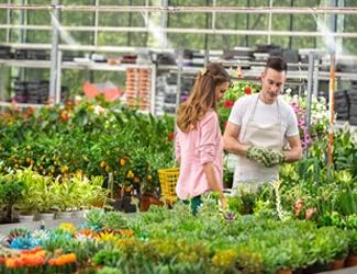 Miniatura 5 de Sistema automático de humidificación de invernadero, bomba de nebulización con controlador de humedad, humidificación de invernadero, riego por