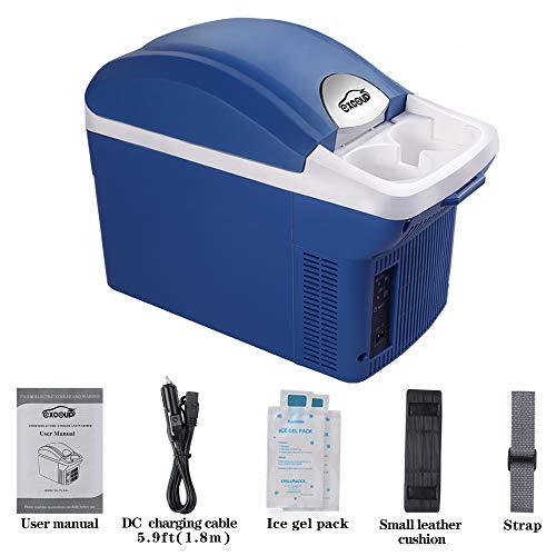 electric car cooler and warmer