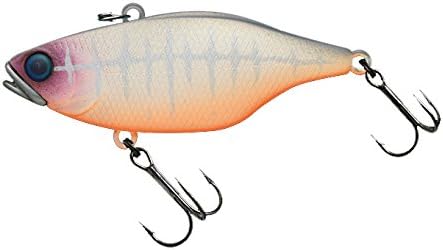 Amazon Jackall ジャッカル バイブレーション Tn60 60mm 12 7g Rtウロコホロ ブルーギル ルアー Jackall ジャッカル ルアー Amazon Jackall ジャッカル バイブレーション Tn60 60mm 12 7g Rtウロコホロ ブルーギル ルアー Jackall ジャッカル ルアー