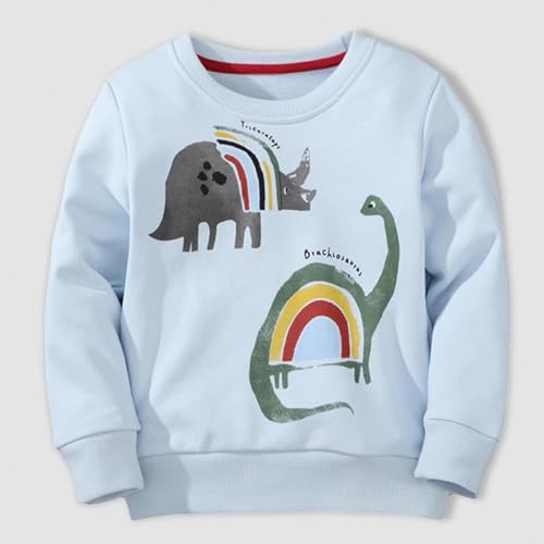 Kids 3D Print Pullover Hoodies Boys' Autumn Pullover Children's Casual Crewneck Pullover Printed (Light Blue, 3-4 Years)2