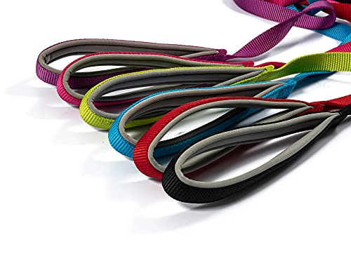 Ancol Viva Gepolsterte Schnappleine Limette, 100 x 1,2 cm