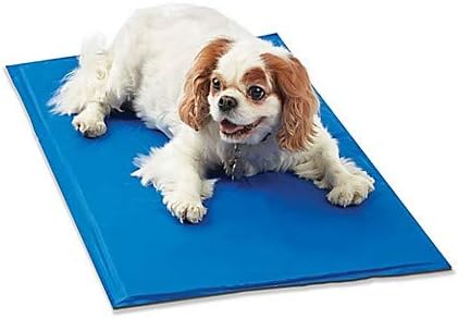 pawslife pet cot