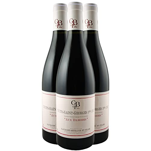 Nuits-Saint-Georges 1er Cru Les Damodes 2021 – Pinot Noir de Borgoña – Domaine Gavignet-Béthanie Nuits-Saint-Georges 1er Cru Les Damodes 2021 – Pinot Noir de Borgoña – Domaine Gavignet-Béthanie