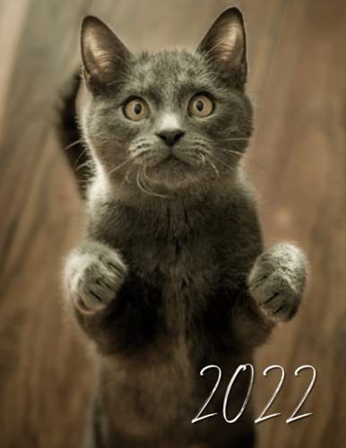 2022: Agenda 2022-2023 (Janvier à Décembre) Semainier au format A4 - Année civile - Pour les étudiants, professionnels et particuliers