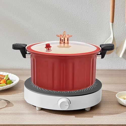 Marmites de cuisine avec couvercles pour repas de famille