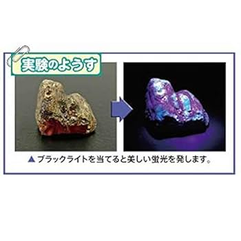 Amazon.co.jp: 蛍光 鉱物セット 光る石の不思議な世界 岩石標本