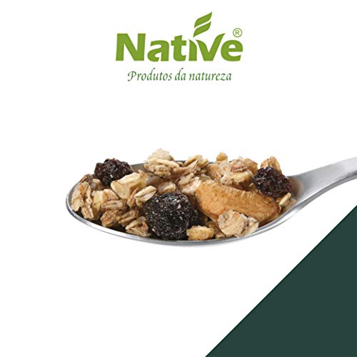 Native Granola Tradicional Orgânica 250G