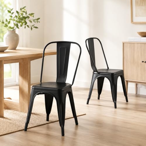 SOLEGGIATA Matte Midnight Black Metal Dining Chairs Set of 2