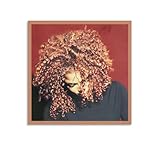 Janet Jackson The Velvet Rope 3 Canvas Poster Bedroom Decoration Landscape Office Valentine's Birthday Gift Unframe-style12x12inch(30x30cm)