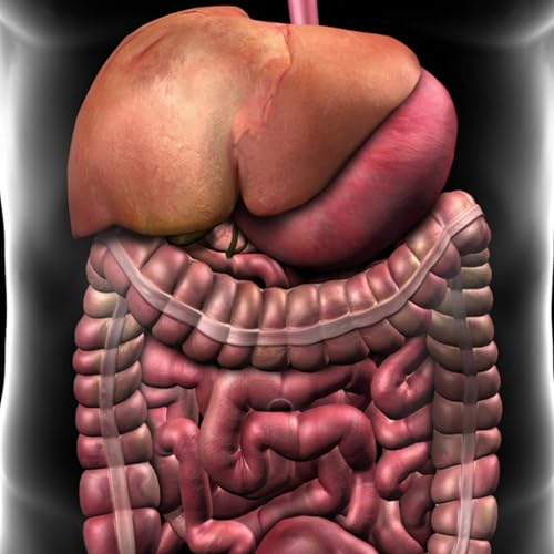 Hepatic Surgery copertina