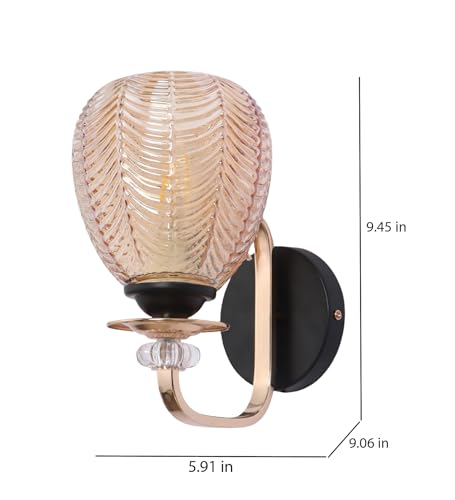 Image of ELAINTE Premium Wall Light | | Elegant Glass Wall Lamp for Living Room & Hallway | 3 Years Warranty | Free Bulb (Twin-Single)
