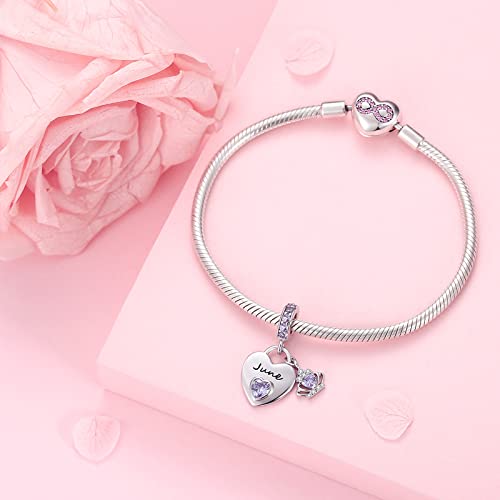 MAVTZRE Birthstone Charms for Charms Bracelet: 925 Sterling Silver Heart Dangle Charms for Bracelets and Necklaces, Birthday Mother's Day Christmas Jewelry Gifts For Women.