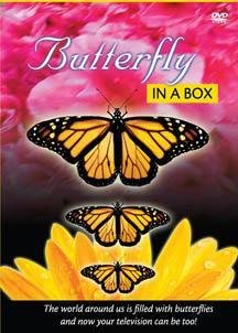 DVD Butterfly in a Box [DVD] Book