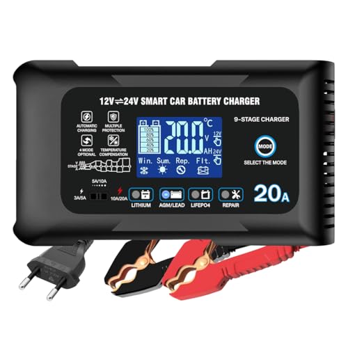 Haisito Caricabatterie da auto da 20 A, 12 V, 24 V, 20 A, caricatore di mantenimento e dispositivo di desolforazione, adatto per litio, LiFePO4, acido piombo (AGM, gel, ecc.) moto, auto, barche