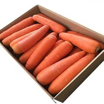 Amazon.co.jp: 【産地厳選】訳あり人参 大きさお任せ 約5kg