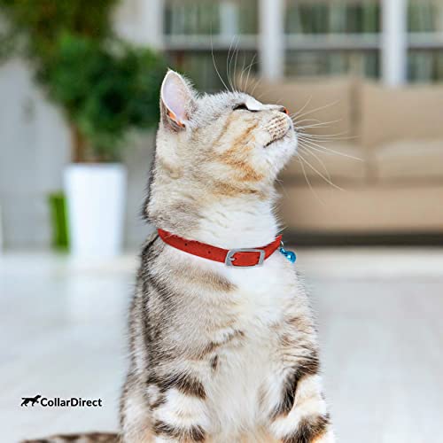 Image of CollarDirect Leather Cat Collar, Cat Safety Collar with Elastic Strap, Kitten Animal Collar for Cat with Bell Black Blue Red Orange Lime Green (Neck Fit 6 inch-7 inch, Red)