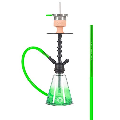 Amy Shisha 050 Little Starfox - Set de pipa de agua (incluye encendedor de carbón, piedras Amy Stones de 125 g, molasa Al Waha), color negro y verde