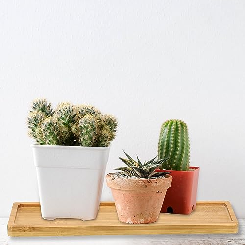PATIKIL Bamboo Wood Saucer, 10.5x3 Inch Rectangle Wooden Plant Drainage Tray Bonsai Plants Saucer Succulent Pot for Home Balcony Patio - Image 4