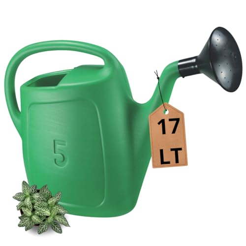 Tomaino - Annaffiatoio 17 Litri - Innaffiatoio Giardino Con Diffusore in Plastica - Impugnatura Comoda con Beccuccio Lungo (17 lt)