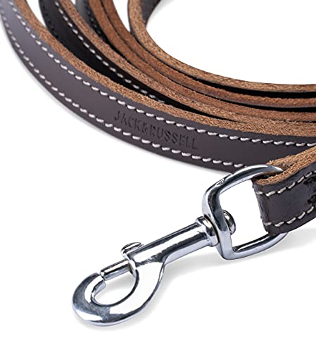 Hundeleine aus Leder - mehrfach verstellbare Führleine 2,40m - Hunde Lederleine extrem Stabil mit Edelstahl-Karabiner - Echt-Leder Leine Sammy (Dunkelbraun)