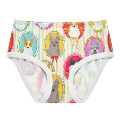 Dog Whimsical Puppy Ornate Toddler Underwear Floral 2t Cotton Cute Panties Girl Colorful Briefs Undies Kids