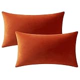 DEZENE Fall Couch Pillow Cases 12x20 Burnt Orange: 2 Pack Cozy Soft Velvet Rectangular Throw Pillow