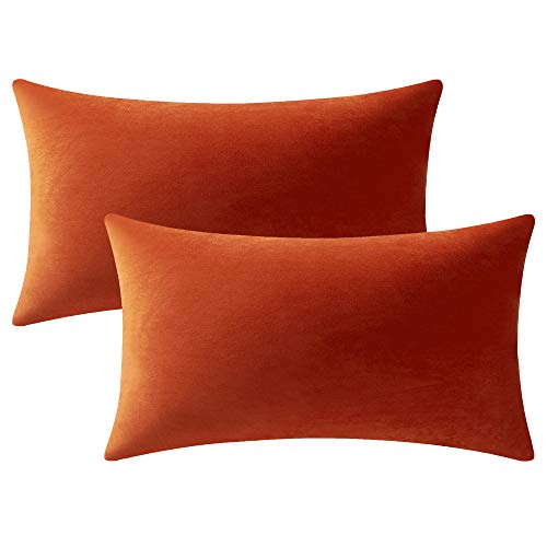 DEZENE Lumbar Pillow Covers 12x20 Burnt Orange: Pack of 2