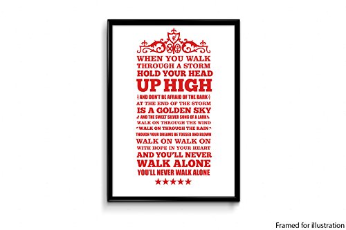 Alter Ego You Will Never Walk Alone Liverpool Typography Recycled Material Poster (12 x 18, Multicolour)
