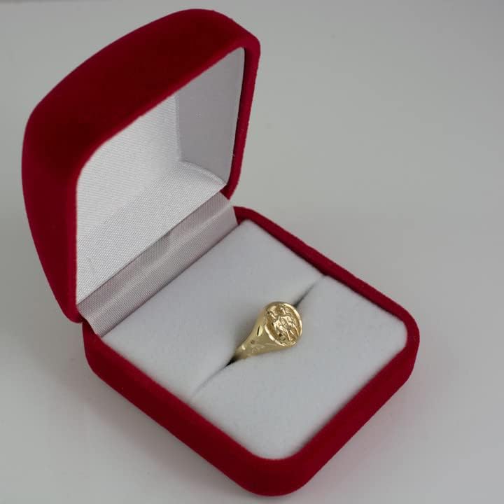 Miniatura 2 de Anillo de satén de oro amarillo macizo de 10 quilates para mujer, signo del zodiaco de satén de DC, elección de signo del zodiaco y tamaño