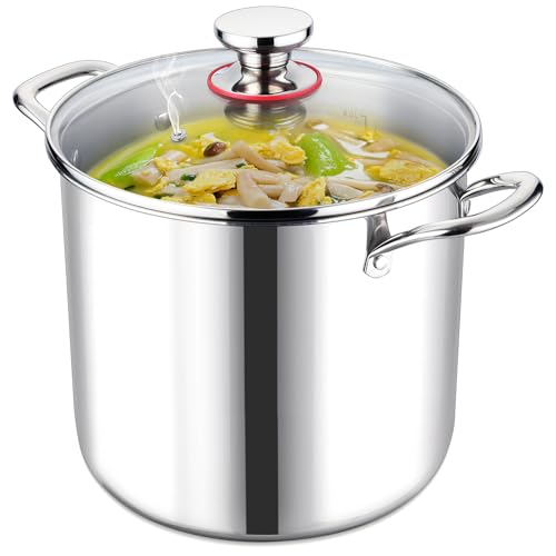 LIANYU 10 Quart Stock Pot with Lid, 10 QT 18/10 Stainless Steel Soup Pot, Tri-Ply Heavy Duty Large Canning Pasta Pot, Big Deep Pot for Cooking, Nonstick Induction Stockpot with Measuring Mark LIANYU 10 Quart Stock Pot with Lid, 10 QT 18/10 Stainless Steel Soup Pot, Tri-Ply Heavy Duty Large Canning Pasta Pot, Big Deep Pot for Cooking, Nonstick Induction Stockpot with Measuring Mark