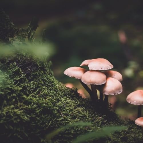 JOUR 8 - LA PORTE DE CE QUI CONTINUE MALGR&Eacute; TOUT