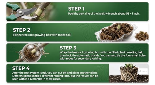Image of Plant Rooting Ball - Reusable Air Layering Propagation Ball for Grafting, Root Growth & Cutting Propagation - Transparent Plastic Root Growing Box with Secure Lock for Indoor & Outdoor Plants