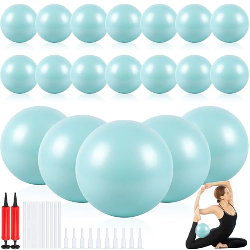 Image of Aoriher 10 Pack 9 Inch Small Pilates Ball Bulk Mini Exercise Ball Portable Non-Slip Workout Yoga Balls with Air Pump for Stability, Barre, Fitness, Balance, Physical &Core, Gym Home Office Use