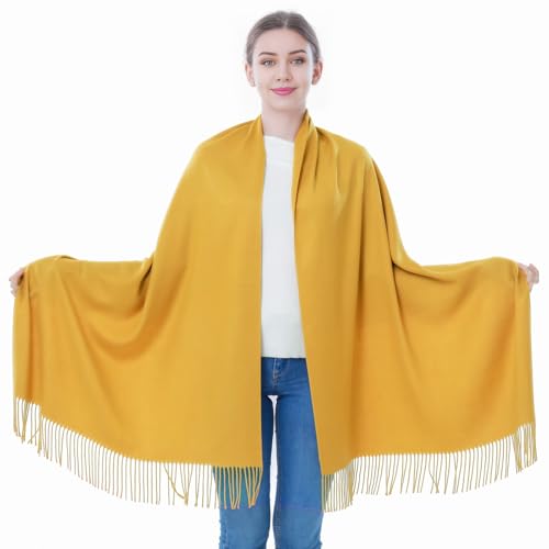 Image of Pashmina Scarf and Shawl - Soft Women Pashminas Wrap for Wedding Evening Party dresses