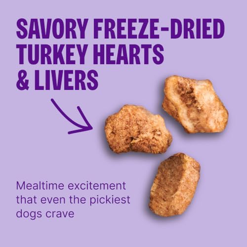 Image of Wellness CORE+ Adult Dry Dog Food with Freeze Dried Pieces, Grain Free Kibble+, Natural, High Protein, Turkey and Chicken Recipe, 20 lb Bag