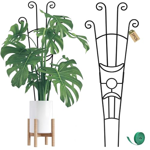 Monstera Plant Support Stakes 2-Pack